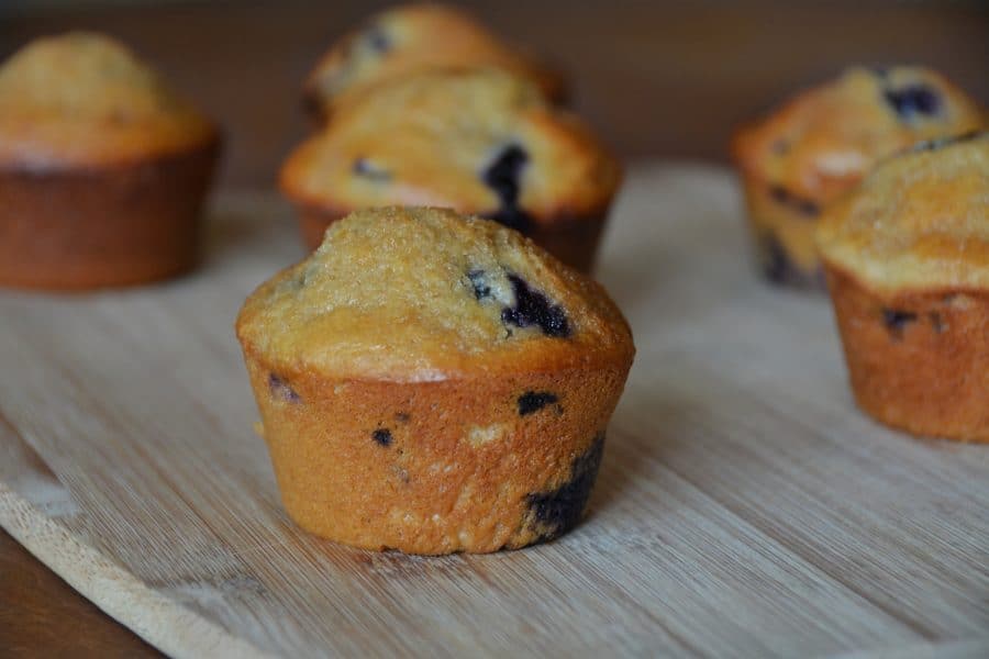 Kodiak blueberry muffin recipe. Looking for a healthy Kodiak recipe that tastes like a dream? I was disappointed with a lot of the Kodiak protein muffin recipes I found online, so I decided to make my own. These healthy blueberry muffins are low-fat, low-carb, high-protein and highly delicious. All the macros are listed if you’re counting macros. #kodiakcakes #proteinmuffins #reesewoodsfitness www.reesewoods.com