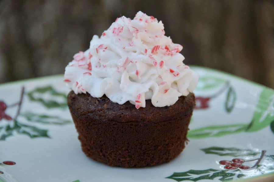 Chocolate peppermint Kodiak muffin recipe. Looking for a healthy Kodiak recipe that tastes like a dream? I was disappointed with a lot of the Kodiak protein muffin recipes I found online, so I decided to make my own. These healthy chocolate peppermint muffins are low-fat, low-carb, high-protein, vegan adaptable and highly delicious. All the macros are listed if you’re counting macros. #kodiakcakes #proteinmuffins #healthyholidayrecipes #reesewoodsfitness www.reesewoods.com