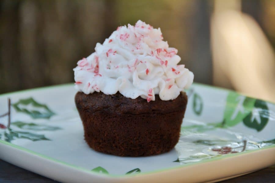 Chocolate peppermint Kodiak muffin recipe. Looking for a healthy Kodiak recipe that tastes like a dream? I was disappointed with a lot of the Kodiak protein muffin recipes I found online, so I decided to make my own. These healthy chocolate peppermint muffins are low-fat, low-carb, high-protein, vegan adaptable and highly delicious. All the macros are listed if you’re counting macros. #kodiakcakes #proteinmuffins #healthyholidayrecipes #reesewoodsfitness www.reesewoods.com