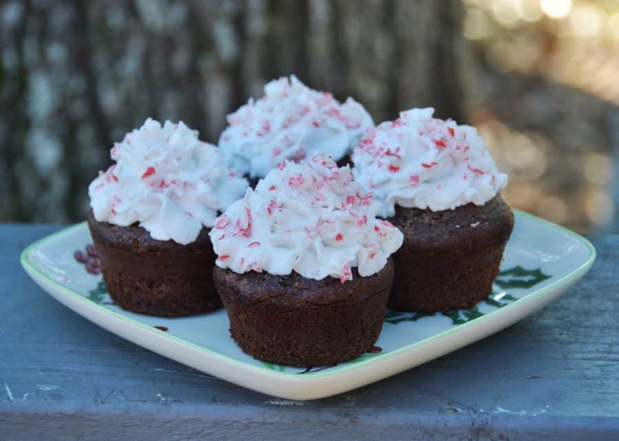 Chocolate peppermint Kodiak muffin recipe. Looking for a healthy Kodiak recipe that tastes like a dream? I was disappointed with a lot of the Kodiak protein muffin recipes I found online, so I decided to make my own. These healthy chocolate peppermint muffins are low-fat, low-carb, high-protein, vegan adaptable and highly delicious. All the macros are listed if you’re counting macros. #kodiakcakes #proteinmuffins #healthyholidayrecipes #reesewoodsfitness www.reesewoods.com