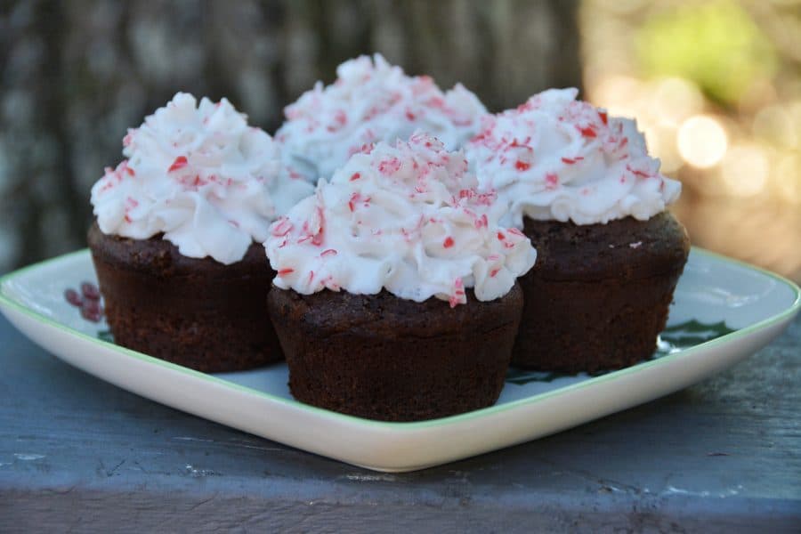 Chocolate peppermint Kodiak muffin recipe. Looking for a healthy Kodiak recipe that tastes like a dream? I was disappointed with a lot of the Kodiak protein muffin recipes I found online, so I decided to make my own. These healthy chocolate peppermint muffins are low-fat, low-carb, high-protein, vegan adaptable and highly delicious. All the macros are listed if you’re counting macros. #kodiakcakes #proteinmuffins #healthyholidayrecipes #reesewoodsfitness www.reesewoods.com
